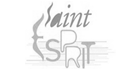 Logo institution saint esprit